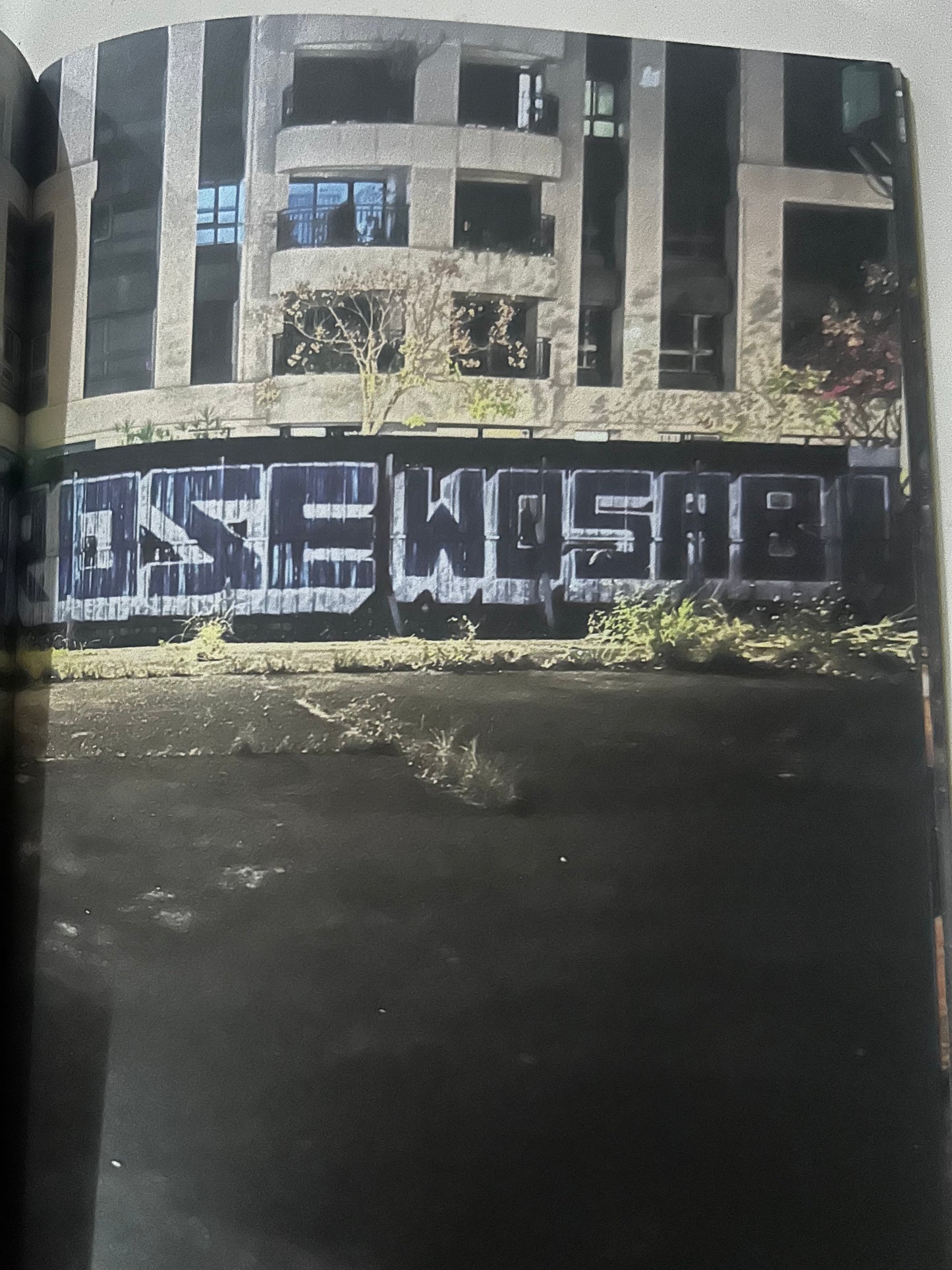 Fall Winter 2024- Barbary Coast Edition