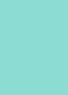 Art Primo- 11mm Spring Fever Drip Mop