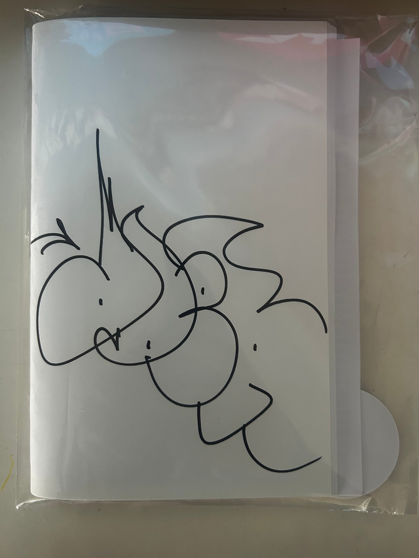 Rob Ader- BKLYN 2 Australia Zine