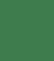 Infamy- Metal Paint Refill 250ml