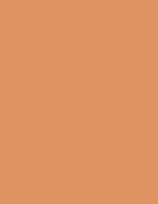 Infamy- 20mm Metal Paint Mop